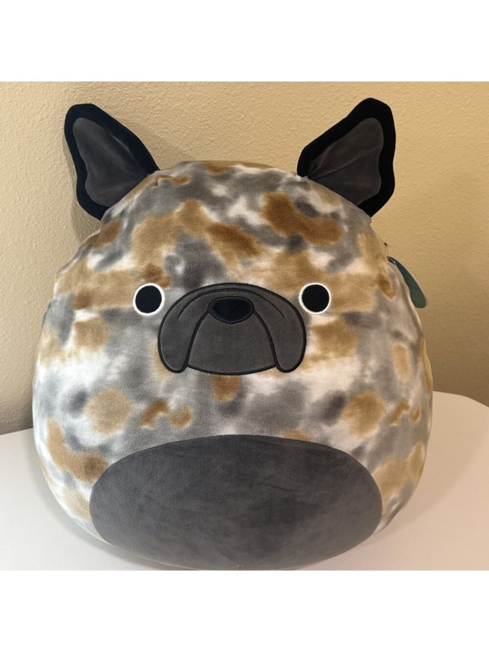 Squishmallow The French BullDog 16" RARE Plush Toy ~ 2025, Nwt, gift idea